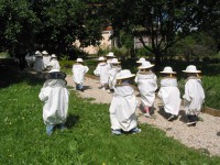 /album/fotogaleria/paseando-entre-colmenas-jpg/